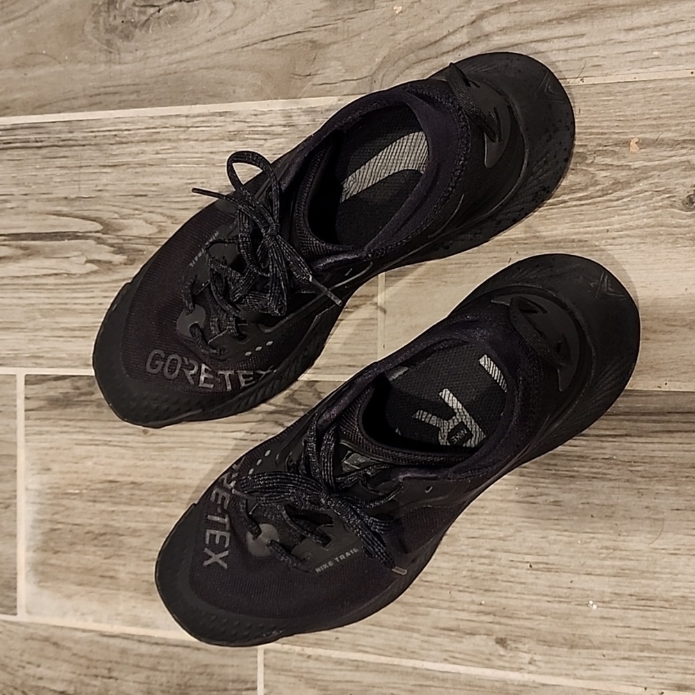 Nike Pegasus Gore-Tex Trail Shoes